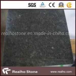 China Butterfly Green Granite Tiles for Floor, Wall, Bathroom