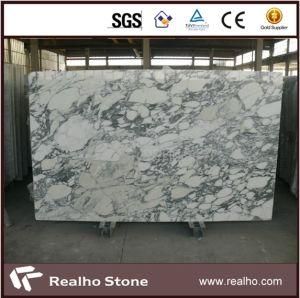 Polished Italy White Arabescato Corchia Marble Slabs