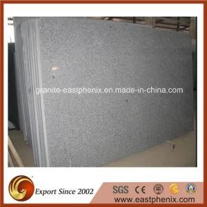 Polished Grey G655 Granite Slabs