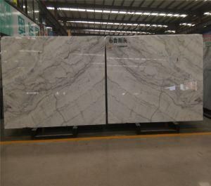 Bruce Grey Slabs/Tiles for Walling/Flooring/Bathroom/Grey Marble