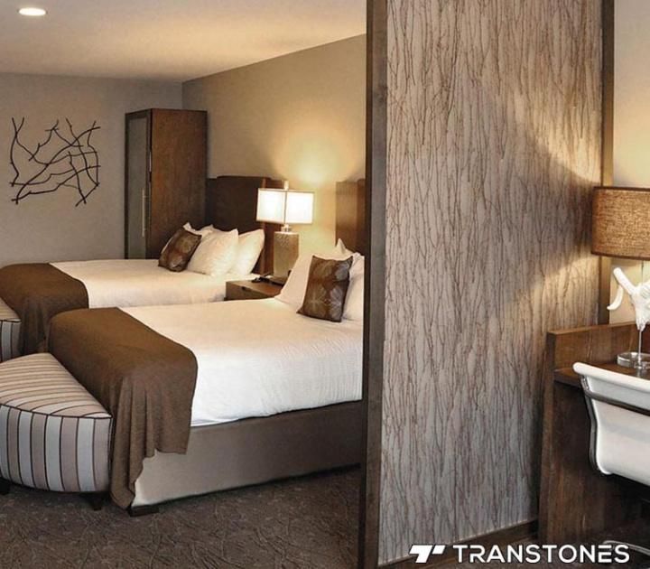 Beautiful PETG Acrylic Sheets for Hotel Wall