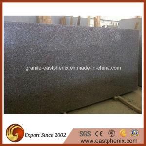 Natural G635 Granite Big Slabs for Floor/Paving Slab