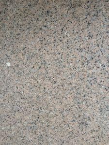 Chinese Granite Flower of Mountain for Flooring Tiles/Building Materials