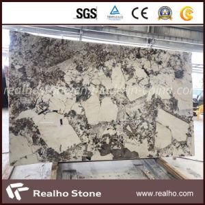 Luxury Bianco Portiguar White Granite for Project
