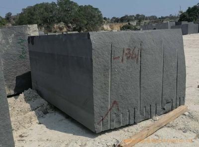 Natural Black Granite Slabs/Tiles/Blocks/Stone Wholesale