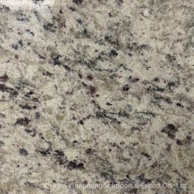 Cheap Polished Granite and Star Granite for Background Wall
