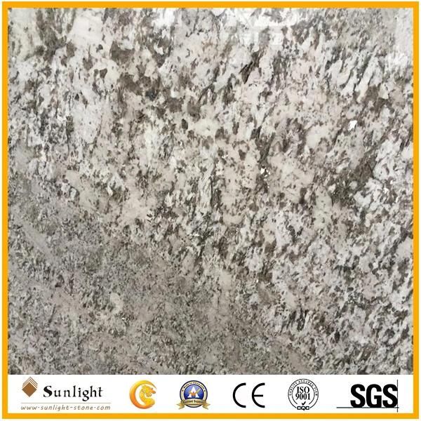 Popular Bianco Antico Silver Color Granite Kitchen Countertop Slabs