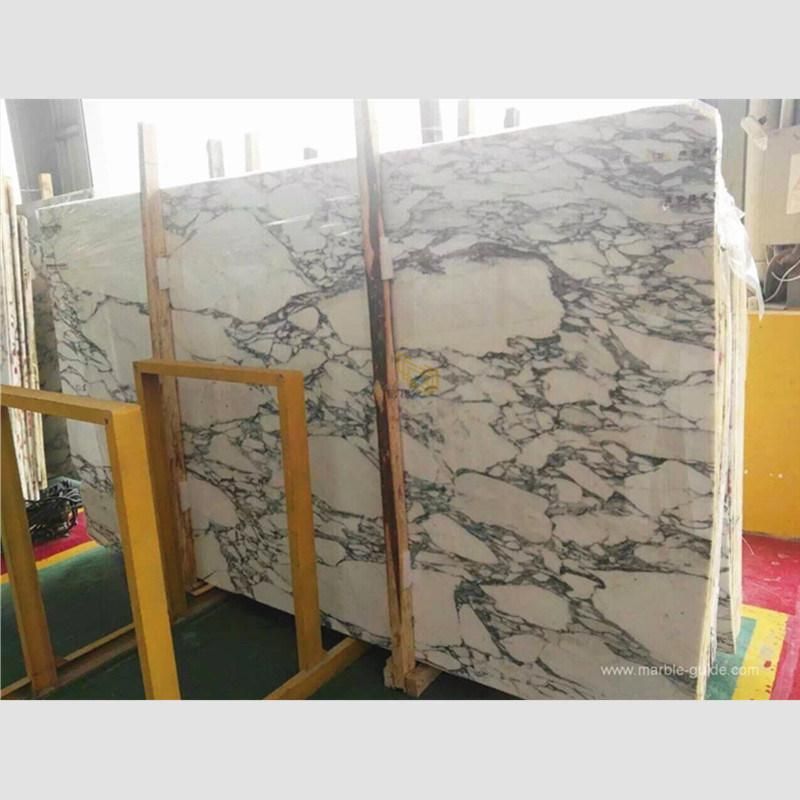 Polished Arabescato White Marble for Bathroom Decor/Flooring/Staircase/Wall