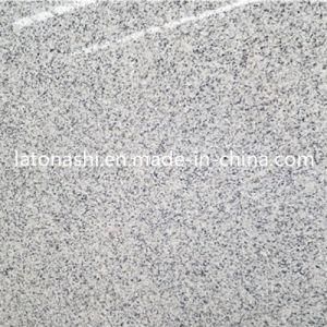 Polished Natural G623 Granite Floor Tile for Flooring, Wall Decoration