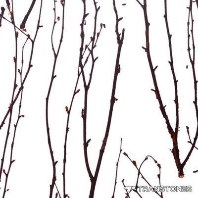 Interior Decorated Translucent Plant Inside Thin Acrylic Door Panel