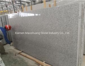 Popular New G603 Grey/White Chinese Polished Granite Slab with Competitive Pricing