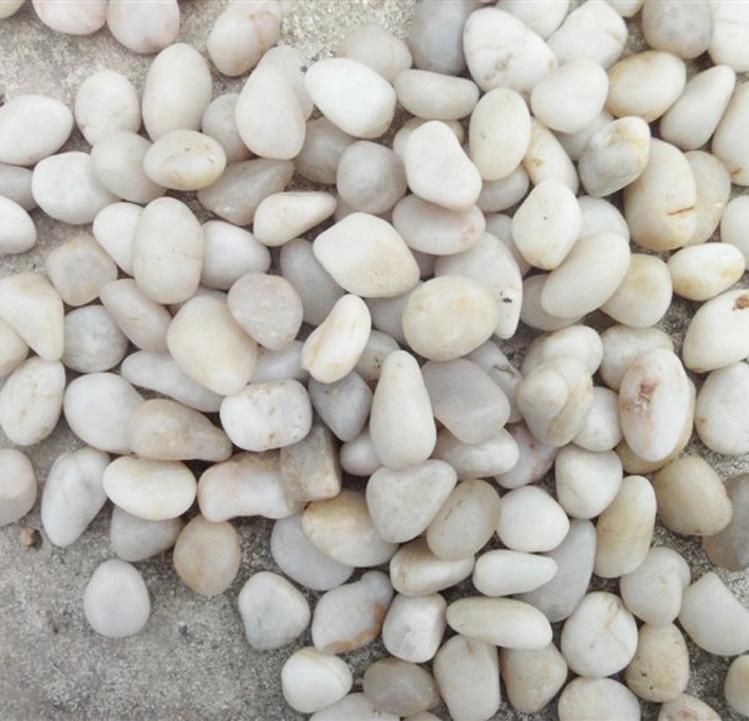 3-5cm White Color Polished Decorative River Stone Pebbles