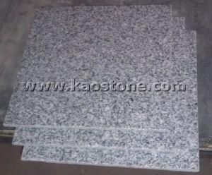Light Grey Granite for Flooring Tiles (G603/ G602/G640)
