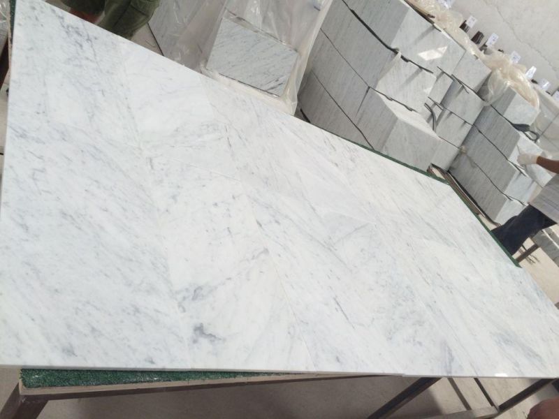 Hot Sales Carrara White Marble Tiles 600X600mm for Flooring