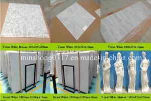 Venus White Marble, White Marble, Royal White Marble Slab