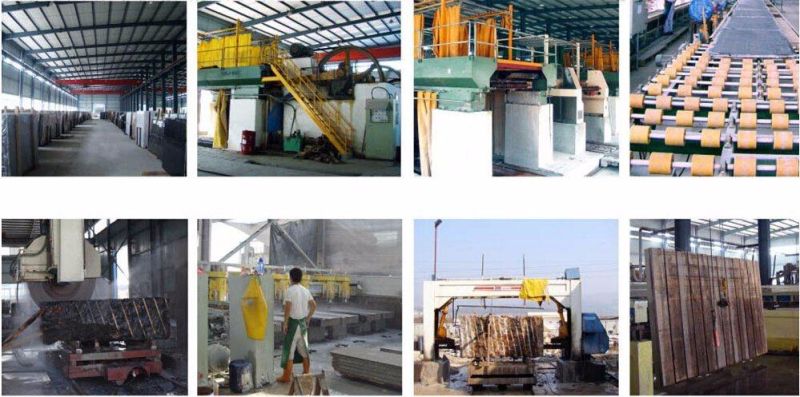 G664/G654/G603/G602/G682 China Granite Manufacture