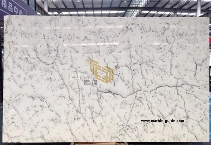 Natural Stone Centalla White Marble for Tile/Slabs/Flooring/Column/Table Countertops Building Material