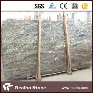 Tropical Forest Green Marble for Wall/Floor