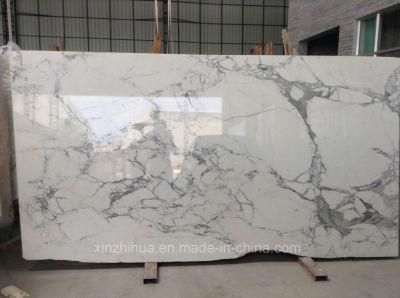 Italy White Marble Bianco/Carrara/Statuarrieto/Calacatta/Gold Slabs/Tiles/Staircase for Interior Wall/Floor/Kitchen/Bathroom Decoration