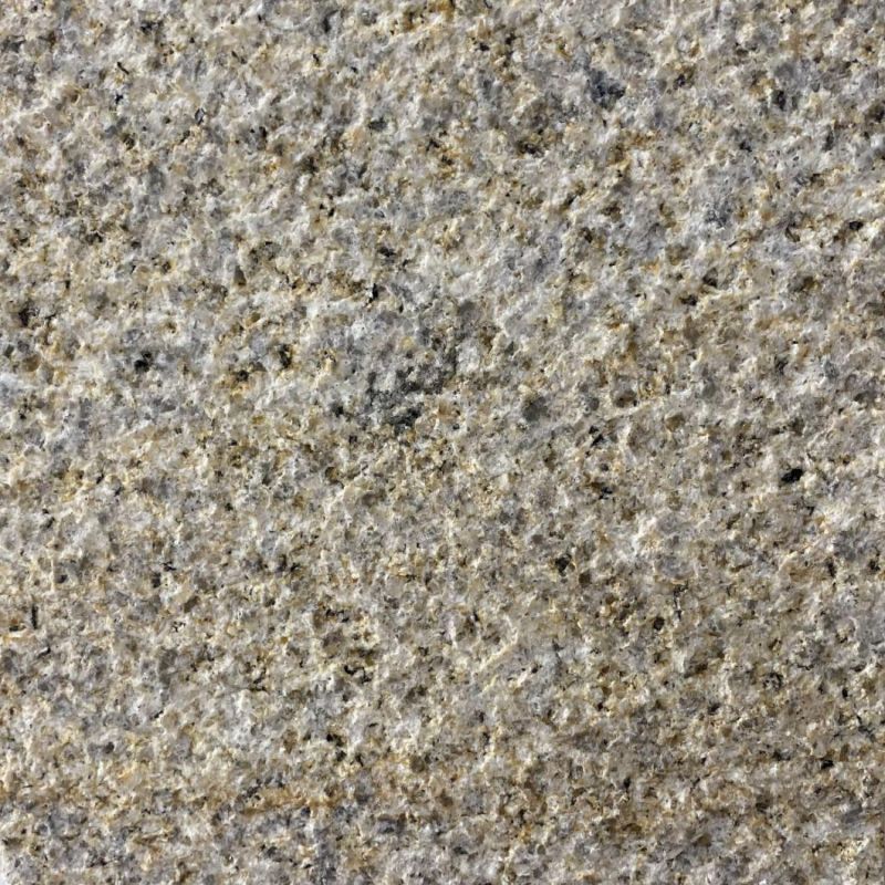 Gold and Litchi Surface Granite for Floor Paving and Building Exterior Walls