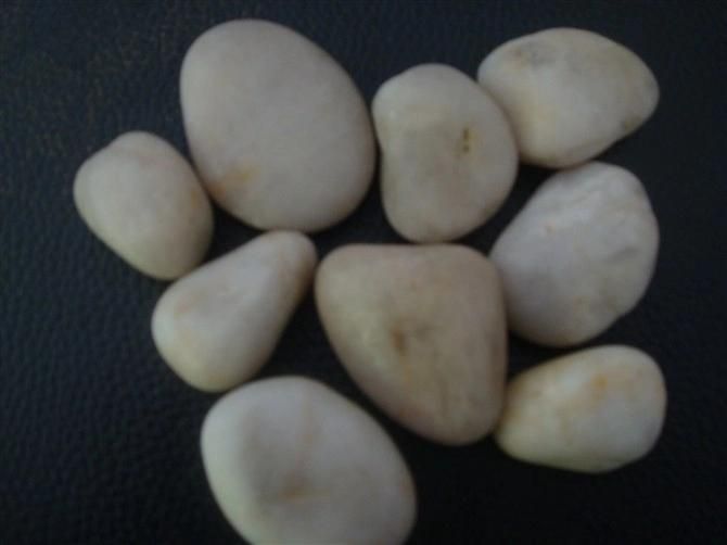 Building Material Gravel/Pebble/Cobble Stone for Garden