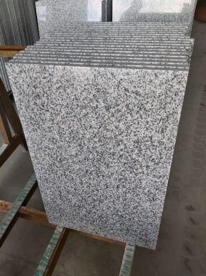New G439 Bianco Granite
