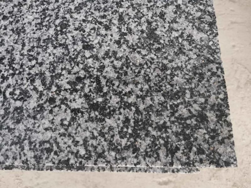 Nordic Grey Impala Black China G654 Granite for Countertop