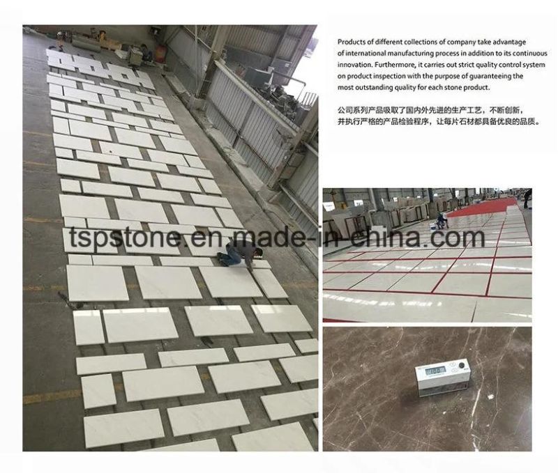 Bianco Carrara White Marble Table Top