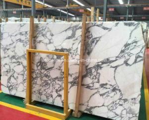 Italy Arabescato White Marble