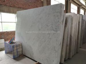 Carrara Silver Marble Slab and Tile Wholesale