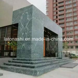 Nature Polished Rain Forest Green Marble Slabs for Wall/Floor