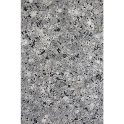 Nature Stone Austin Tx Bianco Antico Homogeneous Granite Tile