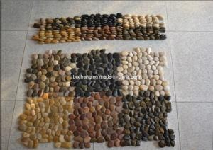 Natural Stone Pebble Mosaic for Floor Paving with Backnet