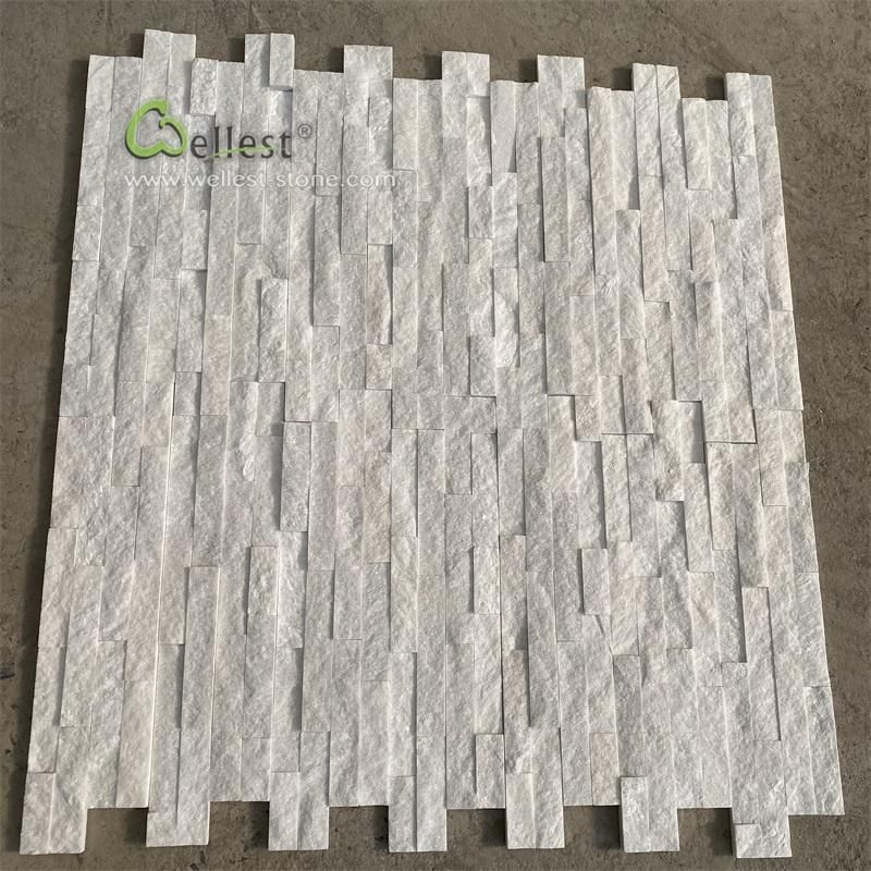 Black Quartzite Exterior Decorate Wall Panel