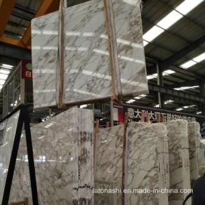 Calacatta Oro Marble Slabs for Wall Cladding and Countertop