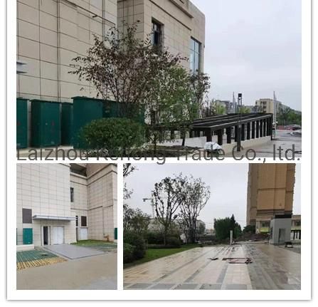 Golden Granite for Exterior Walls and Floors of Buildings