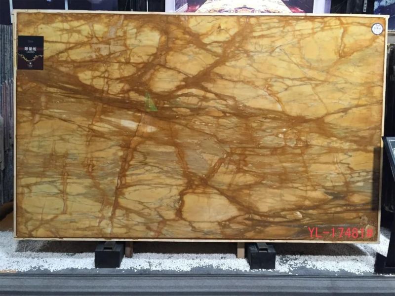 Tin Anna Golden Marble Slabs for Flooring Tile, Countertop