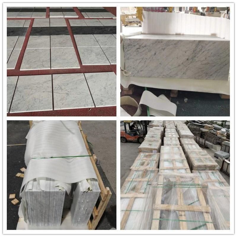 Italian Nature Stone Carrara White Marble Slabs for Interior Projects/Villas/Residents