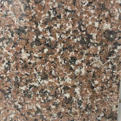 New Cheap Red and White Granite for Polished and Flamed Tile