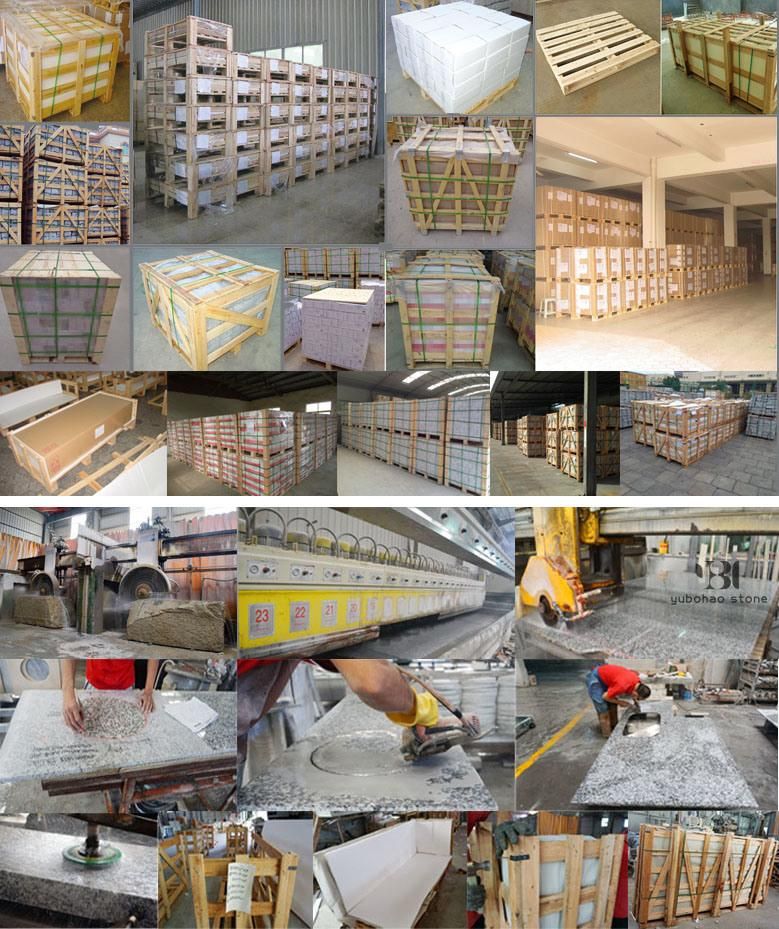 Polished Fantasy Granite Countertop for Kitchen in Wholesale