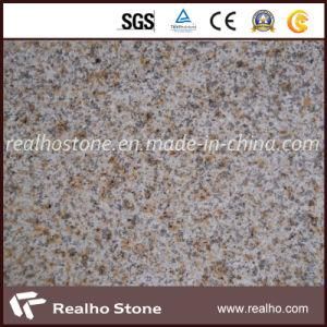 G682 Rust Yellow Granite Flooring Tile / Wall Tile