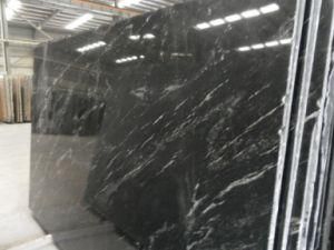 Imported Granite Fantasy Black for Tiles/Countertops/Kitchentops/Hotel/Building Materials