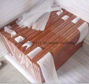 Tianshan Red Granite Stair Treads, Risers, Tiles, Slabs