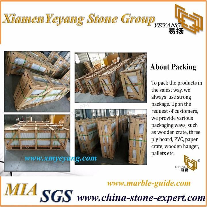 Natural Ink White Marble Stone Tile/Slab for Flooring/Bathroom/ Shower Wall/Vanity Tops/Flooring/Background