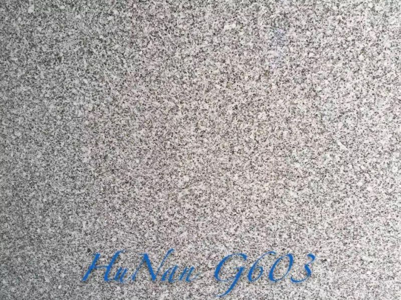 China Top White Granite/Hunan G603 Granite/Hunan G603 Granite for Floor/Background