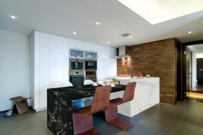 Easy Clearing Black Ice Quartz Stone for Countertop in Room of Kitchen