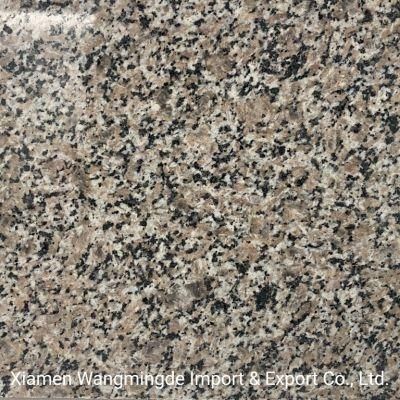Quarry Owner Competitive Price Wulian Grey Color Polished Granite