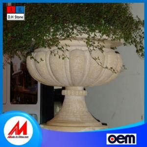 Professional Production Beautiful Indoor Flowerpot Garden Decoration
