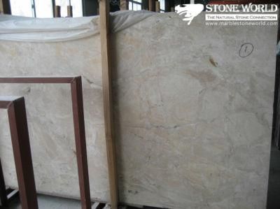 Breccia Oncienta Stone White Marble Slab for Floor/Wall