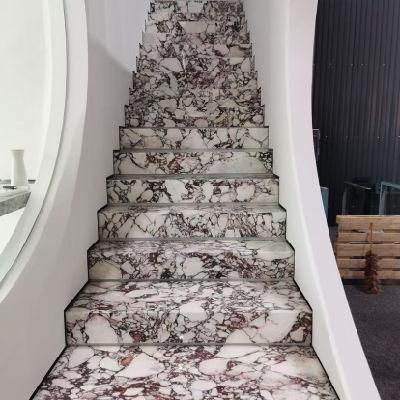 Nature Calacatta Purple/Viola/Granviola Paonazzo Stone Marble for Step and Other Products